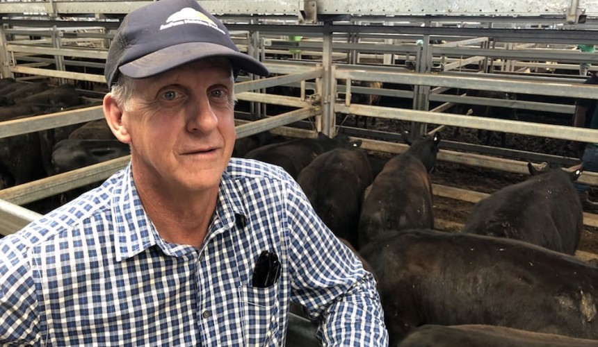 Murray Arnel: Seasonal uncertainty weighs on Wodonga prices + VIDEO