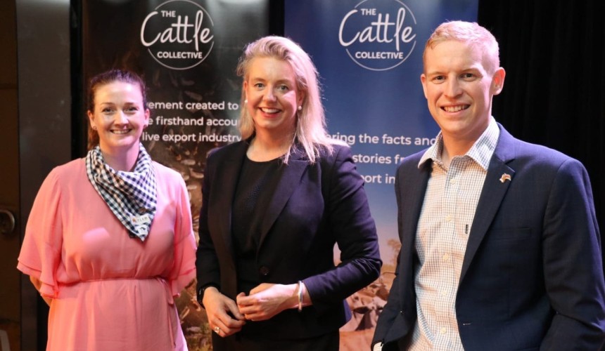 Cattle Collective launched to bust livex myths + VIDEO
