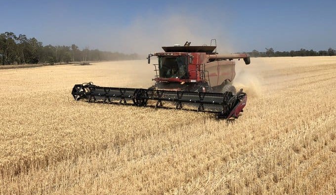 Feedgrain focus: Barley price fall signals shift in buying tempo