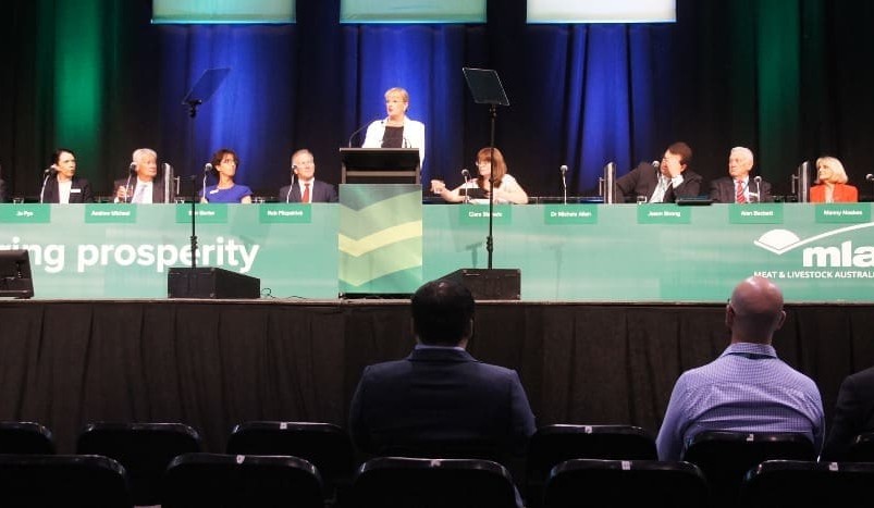 MLA AGM questions: What’s bugging red meat stakeholders?