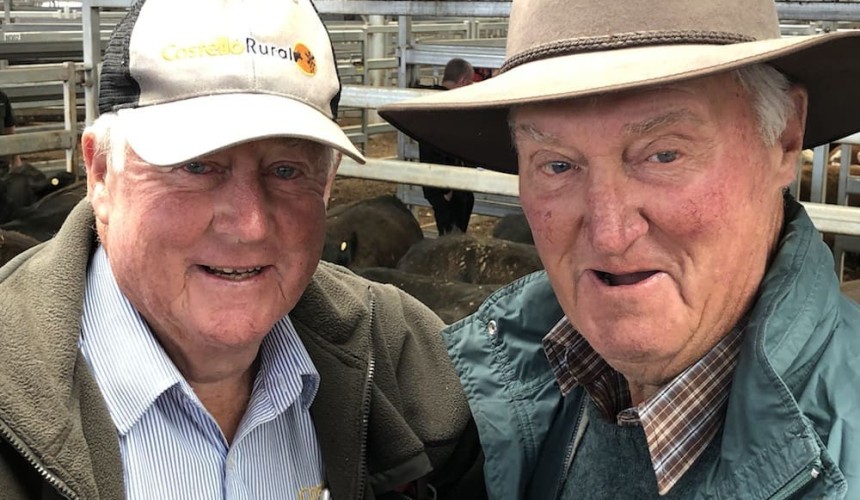 Seasonal uncertainty weighs on Wodonga prices