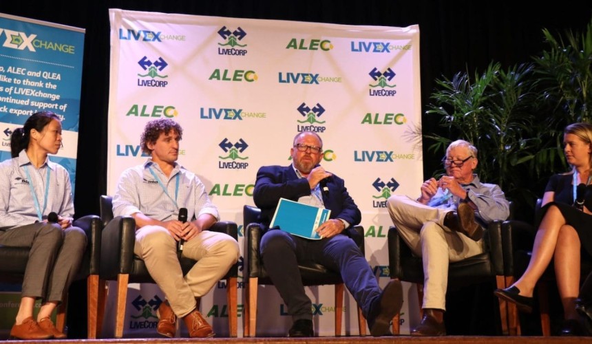 Producers question mixed signals on crossbreds for live export