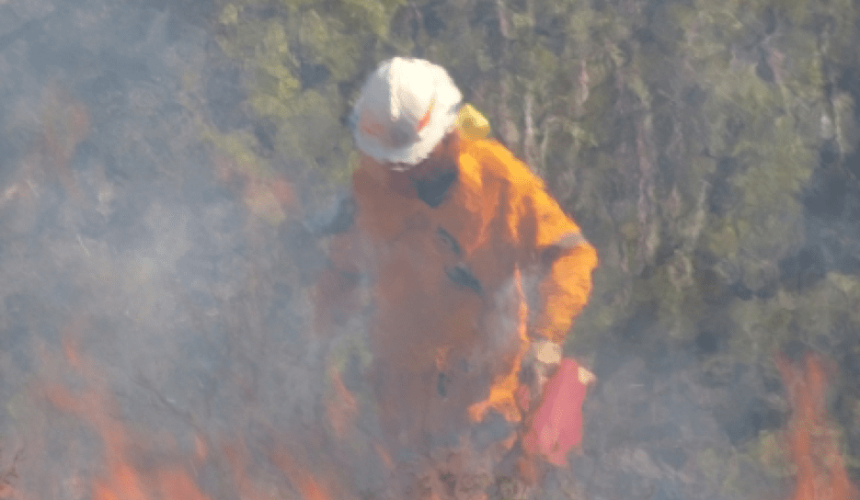 Blue card requirement for rural fire fighters sparks outrage