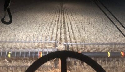 Feedgrain Focus: Weaker barley price buys demand