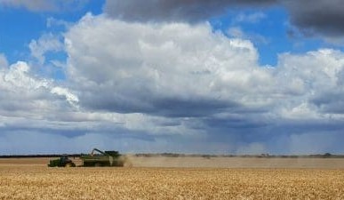 Feedgrain Focus: Warehousing trend, harvest heat lift prices