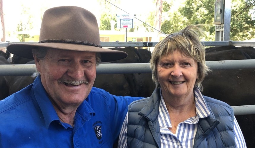 30th annual Euroa female and weaner sale: PTIC heifers top at $2120