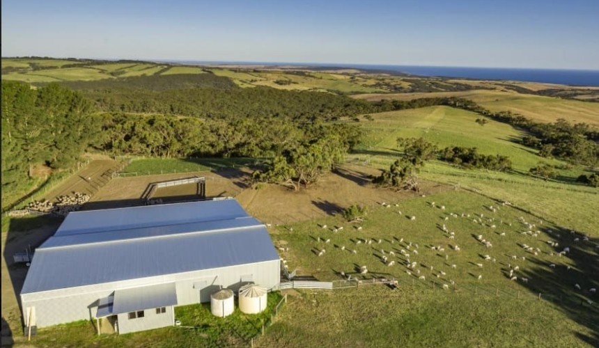 SA’s versatile Maylands has cattle potential