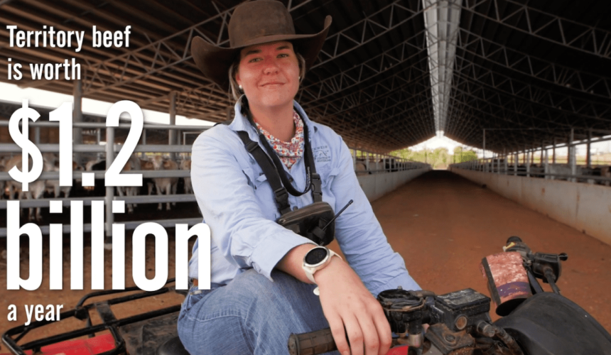 #HerdThat: NTCA highlights importance of NT cattle industry + VIDEO