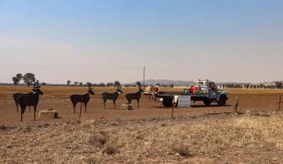 Feedgrain Focus: Wash-outs overheat sorghum market