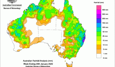 Rain prompts late fodder plant, but far from drought-breaking