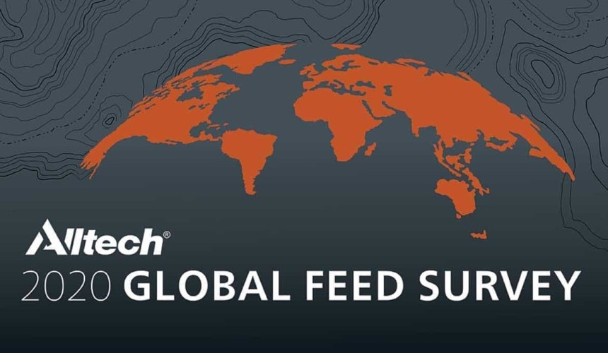 Global feed survey reveals first production decline in nine years