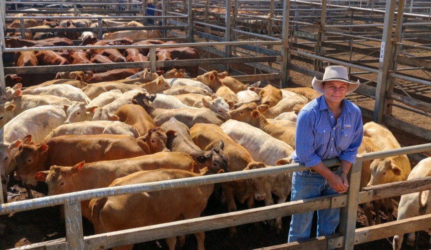 Roma store sale 14 Jan 2020: Prices lift on opening rates