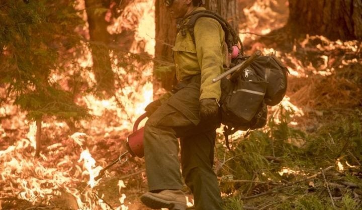 Setting fires to avoid fires