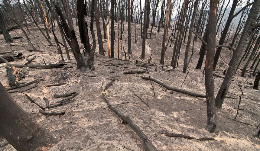 Warning for fire affected properties as rain approaches