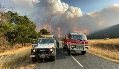 Feedgrain Focus: Prices jump as growers hold, fires disrupt