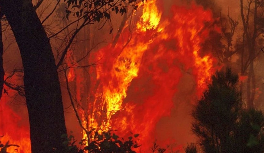 Help support farmers affected by bushfires