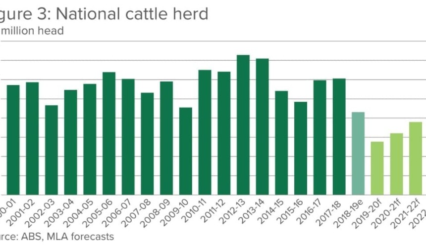 MLA Projections: Cattle supplies to tighten as conditions remain in the balance
