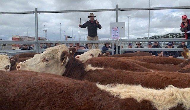 Chris Howie’s market wrap – February 2020