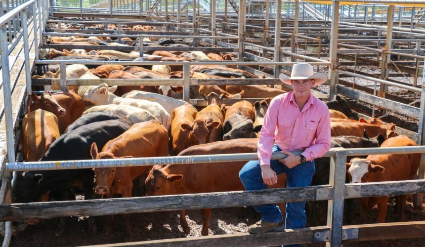 Elders full year result includes second highest earnings in a decade, despite softer commodity prices