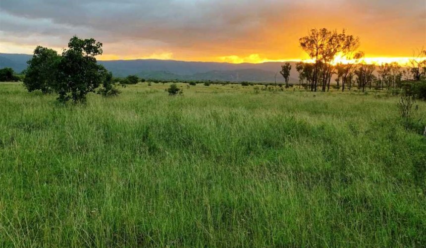 Regional hearings kick off over bush bank branch closures