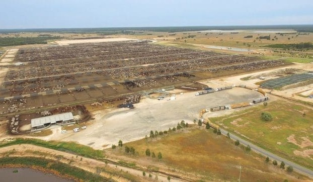 Qld’s Grassdale feedlot completes expansion to 75,000 head