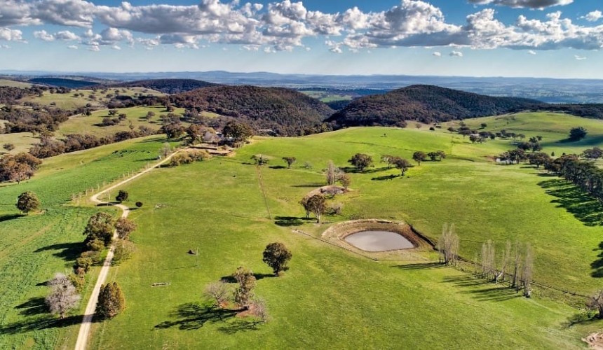 Weekly property review: Recently completed sales