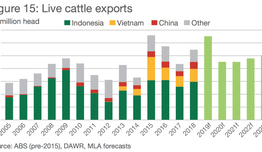 Cattle export contraction tipped in 2020