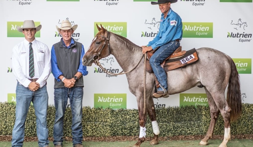$126,000 top for 2020 Nutrien Classic performance horses