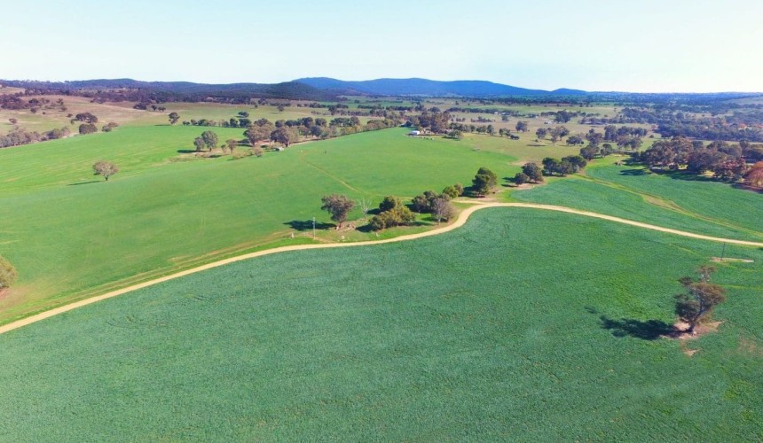 Palgrove expands into southern NSW with Gilgal buy
