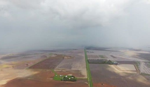 Feedgrain Focus: Prices ease further as bids slide on rain