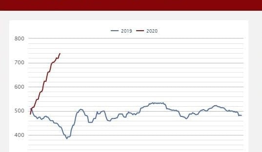 EYCI surges to new record high of 737.5c/kg