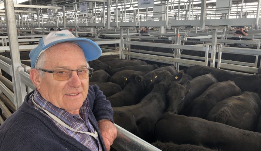 Northern demand boosts Nutrien’s annual Ballarat sale + Video