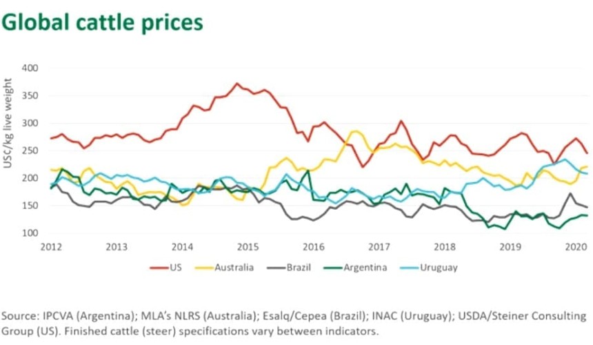 Australian cattle prices out of sync with global markets