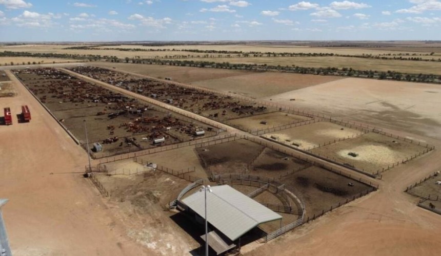 Westbeef feedlot to finalise failed Chinese-backed Harmony group’s asset sales