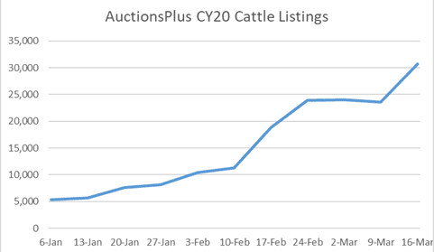 AuctionsPlus online selling option surges into focus under COVID-19 challenges