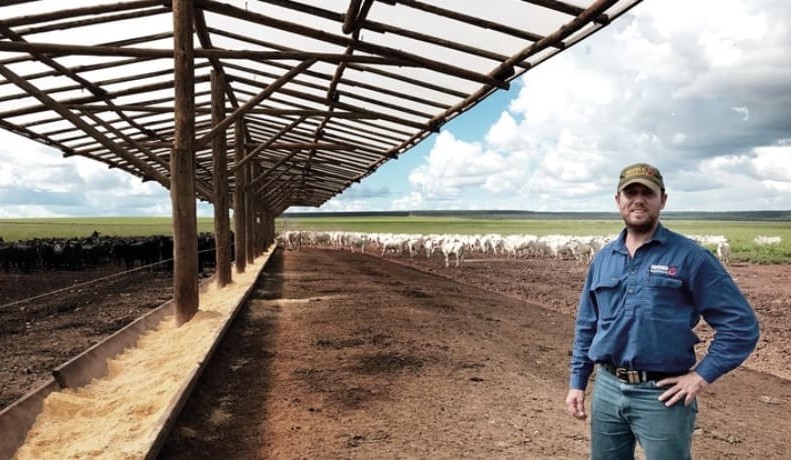 Never say never: Nuffield learnings about lotfeeding in the tropics
