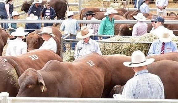 Weekly genetics review: Selecting on the wrong 70pc