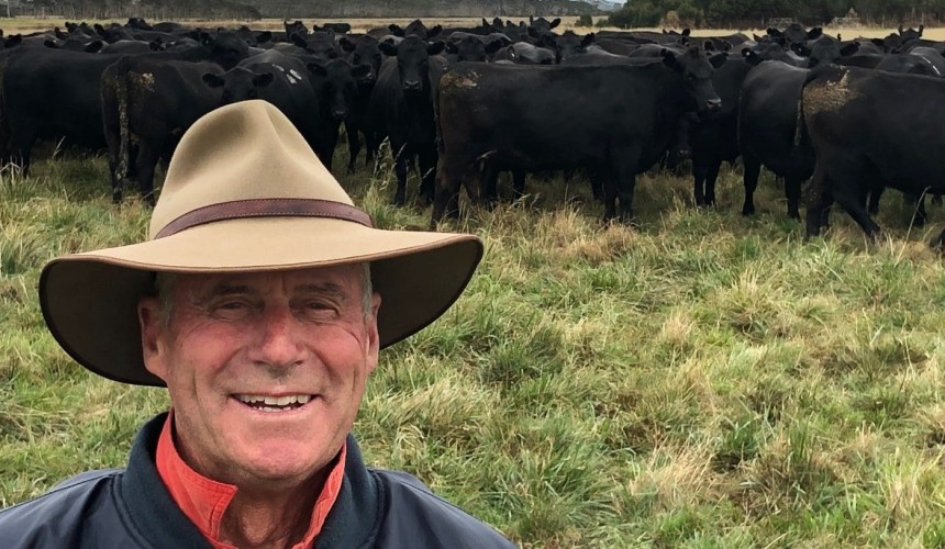 Paraway purchases Panshanger cows after COVID-19 forces sale pivot