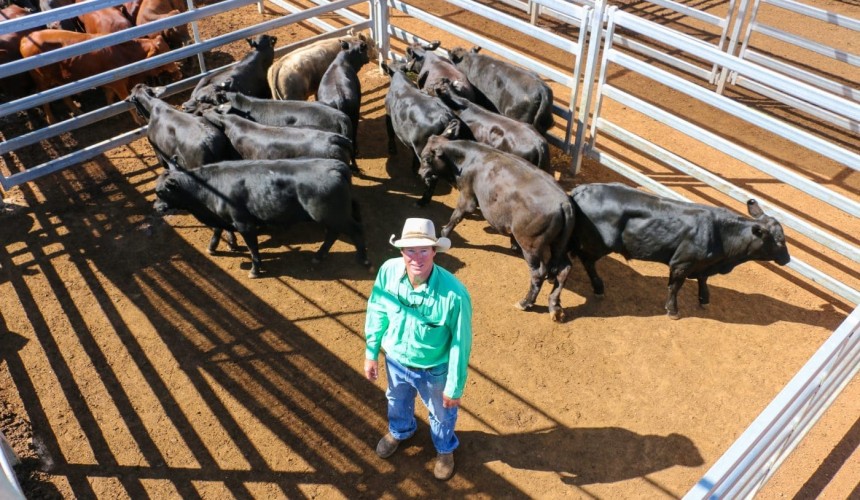 Roma store sale 14 April 2020: Southern buying presence lifts
