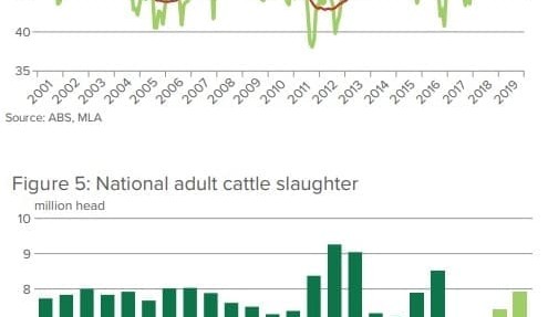 Industry projections: Rain fuels potential cattle herd rebuild