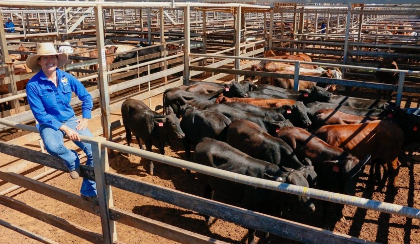 Roma store sale 5 May 2020: Prices mostly up with improved quality