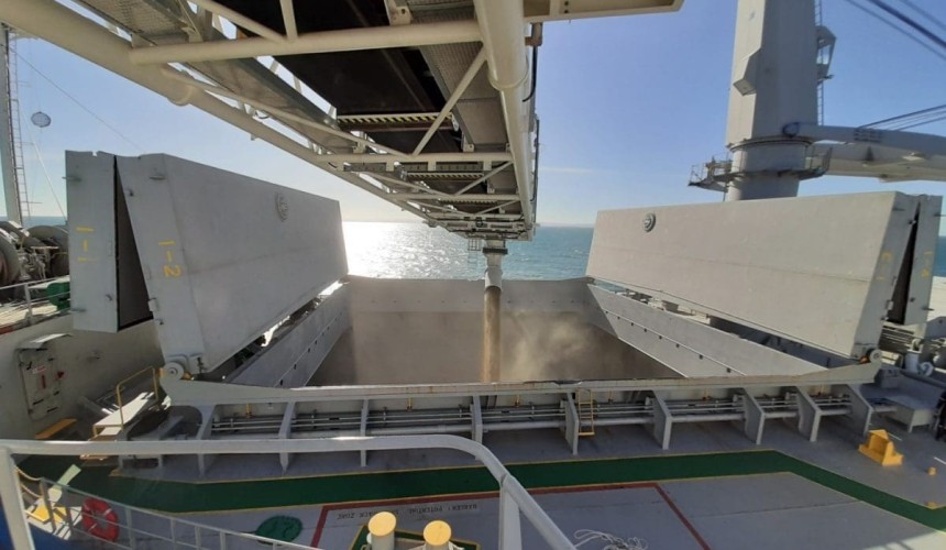 Feedgrain Focus: Wheat and barley markets largely steady