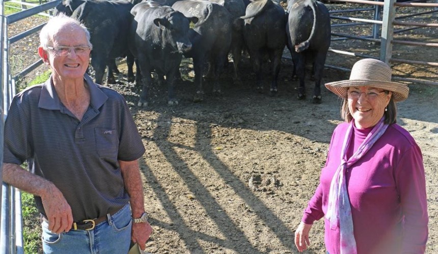 Weekly genetics review: What have we learnt from 2020’s autumn bull sales?
