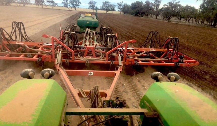 Feedgrain Focus: Nearby firm, new-crop up to $20/t lower