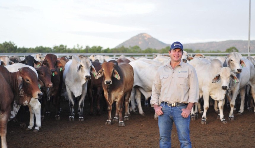 Maiden voyage for Australia’s newest cattle exporter