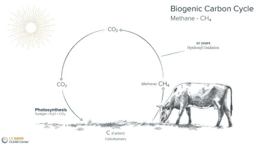 Ag net zero plan sees major push for ‘climate neutral’ recognition