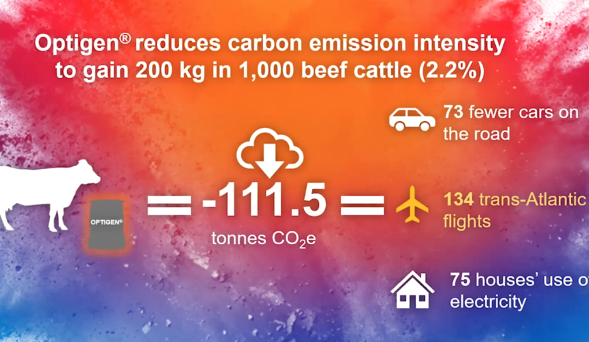 Will beef survive? ‘It has to’, global conference told