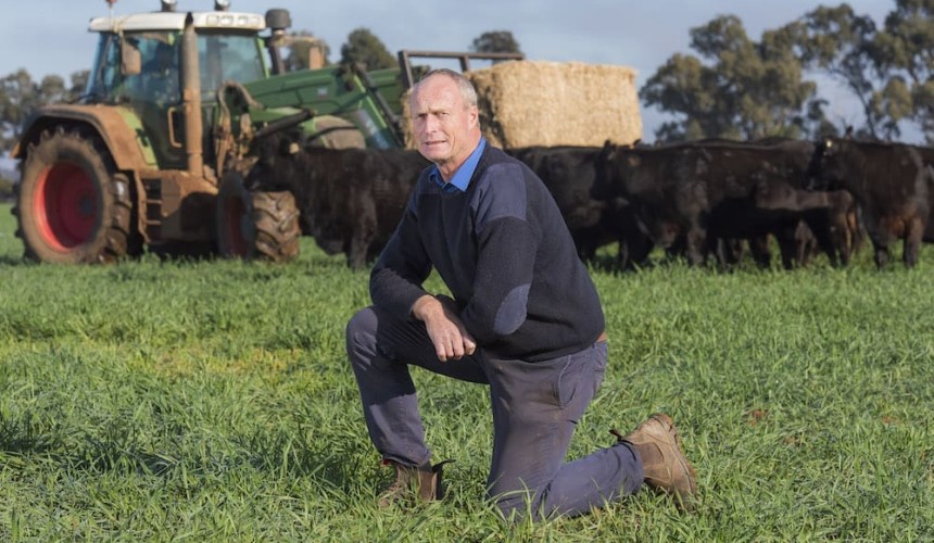 NSW Farmers urges industry organisations to clarify positions on red meat MOU review
