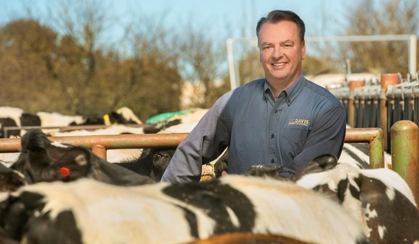 Scientists understand cattle not climate villains, but media still missing message