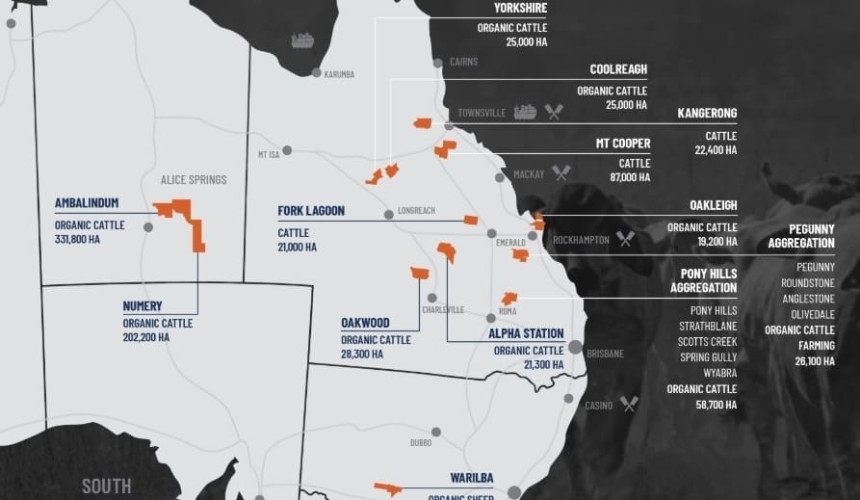 Hewitt Cattle Australia lists Charters Towers portfolio, as focus builds on organic